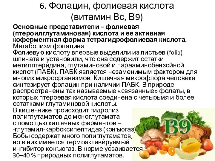 6. Фолацин, фолиевая кислота (витамин Вс, В9) Основные представители – фолиевая