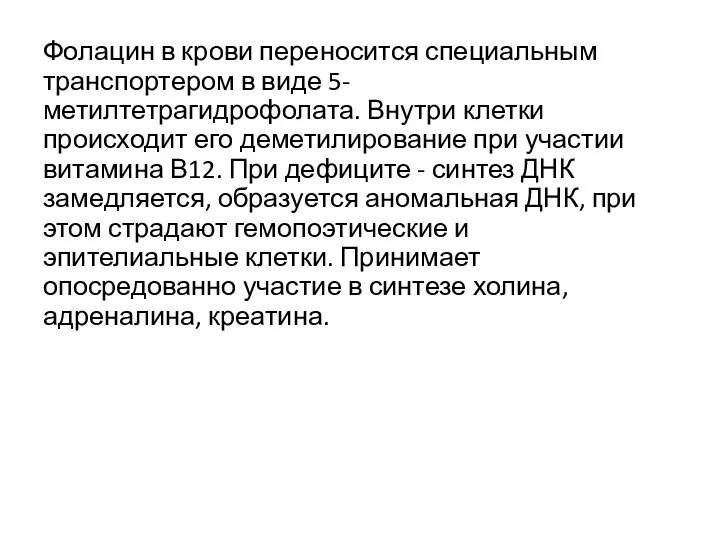 Фолацин в крови переносится специальным транспортером в виде 5-метилтетрагидрофолата. Внутри клетки