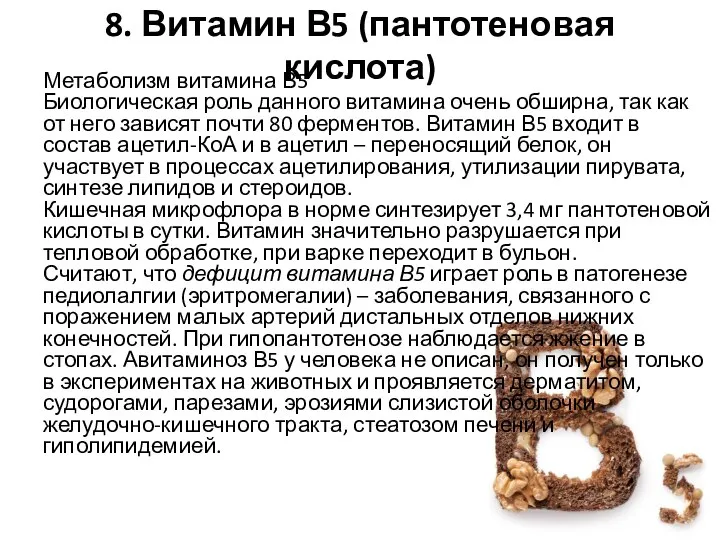 8. Витамин В5 (пантотеновая кислота) Метаболизм витамина В5 Биологическая роль данного