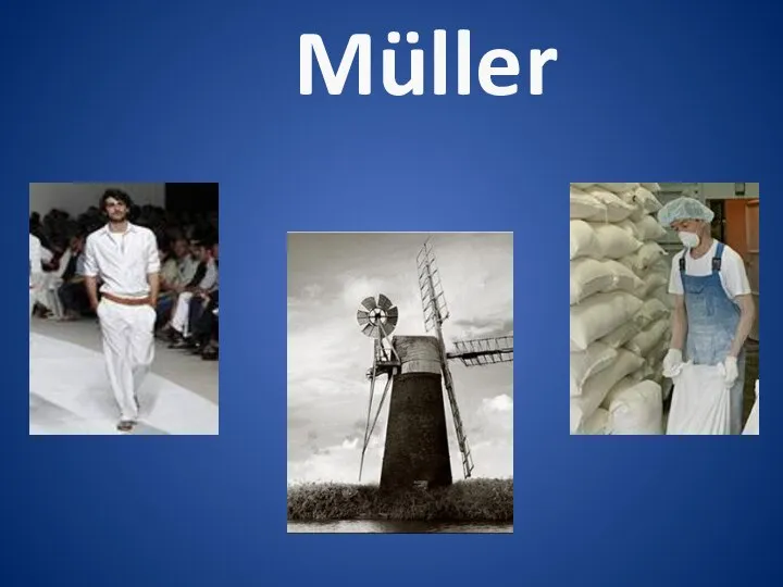 Müller