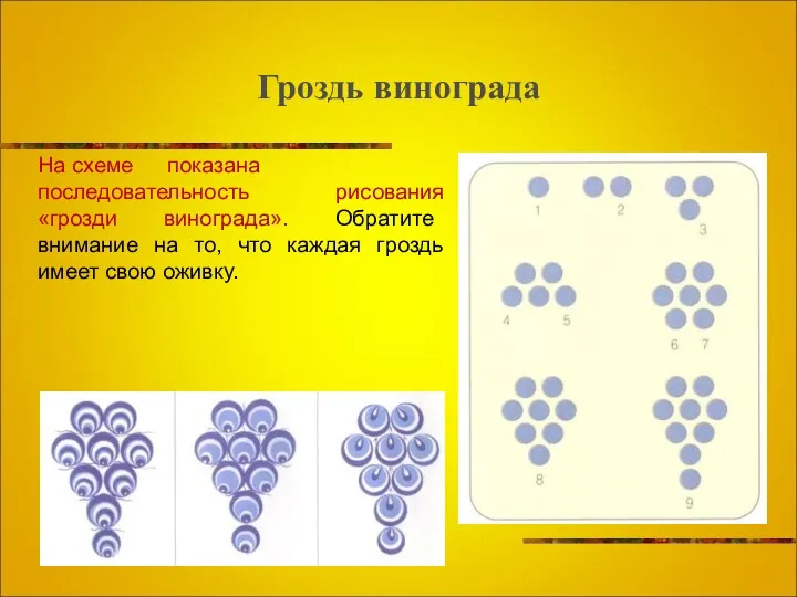 Гроздь винограда На схеме показана последовательность рисования «грозди винограда». Обратите внимание
