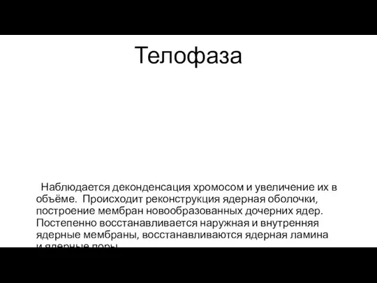 Телофаза Наблюдается деконденсация хромосом и увеличение их в объёме. Происходит реконструкция