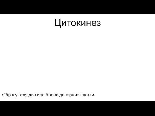 Цитокинез Образуются две или более дочерние клетки.