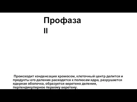 Происходит конденсация хромосом, клеточный центр делится и продукты его деления расходятся