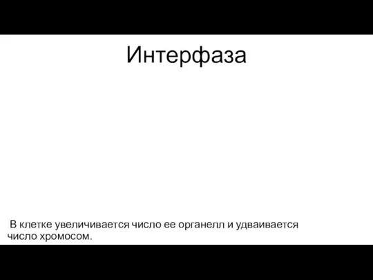 Интерфаза В клетке увеличивается число ее органелл и удваивается число хромосом.