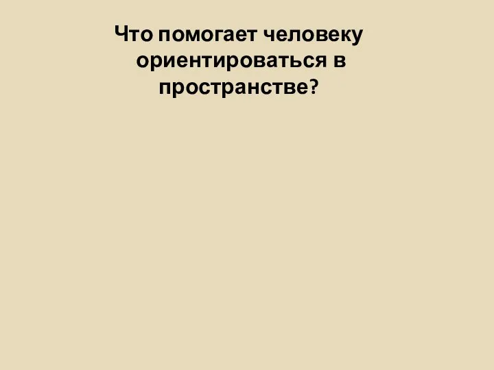 Что помогает человеку ориентироваться в пространстве?