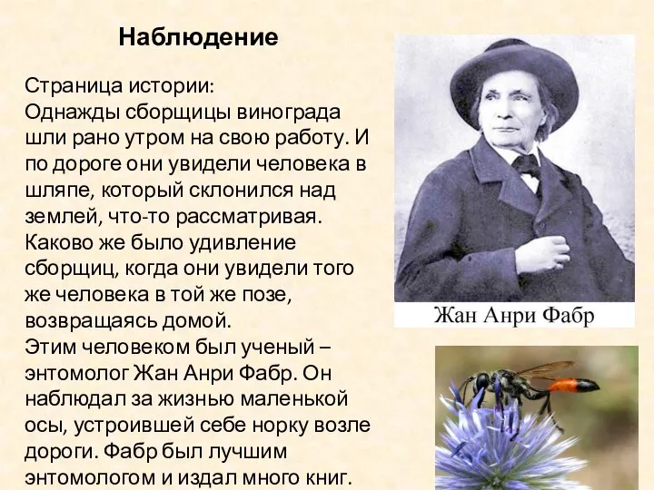 Наблюдение Страница истории: Однажды сборщицы винограда шли рано утром на свою