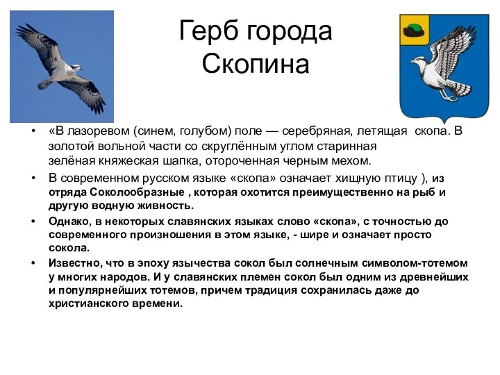 Герб города Скопина «В лазоревом (синем, голубом) поле — серебряная, летящая