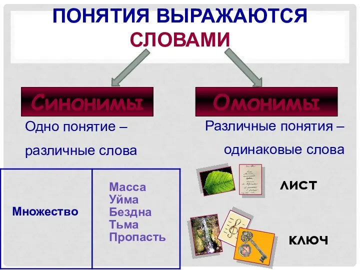 ПОНЯТИЯ ВЫРАЖАЮТСЯ СЛОВАМИ Синонимы Омонимы Одно понятие – различные слова Различные