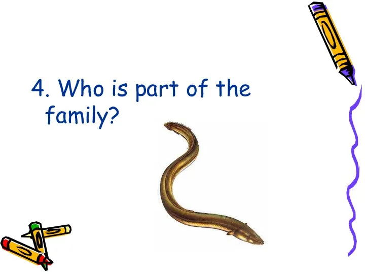 4. Who is part of the family?