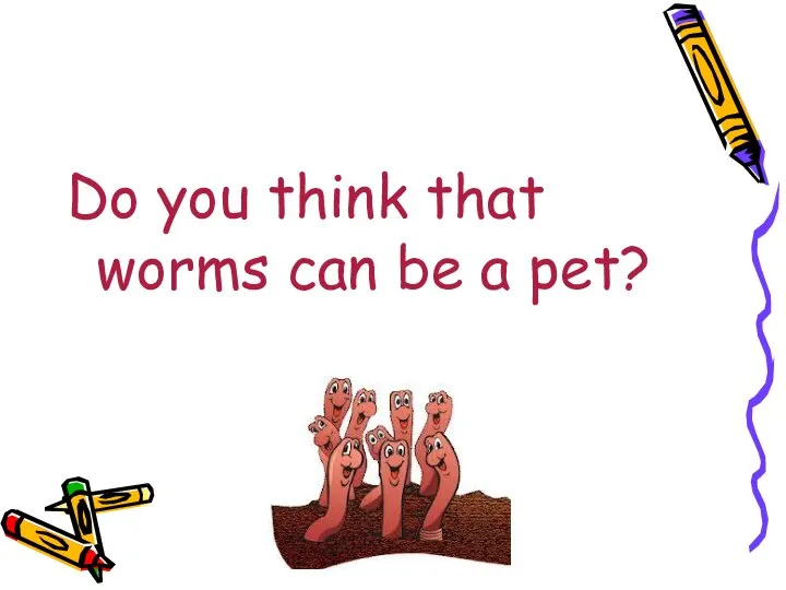 Do you think that worms can be a pet?