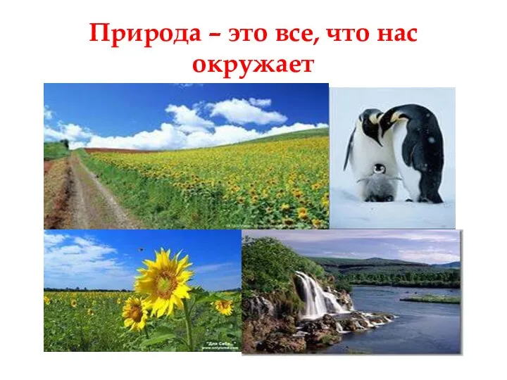 Природа – это все, что нас окружает