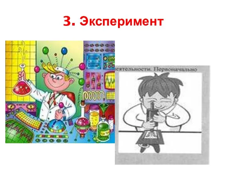 3. Эксперимент