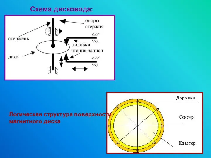 Логическая структура поверхности магнитного диска Схема дисковода: