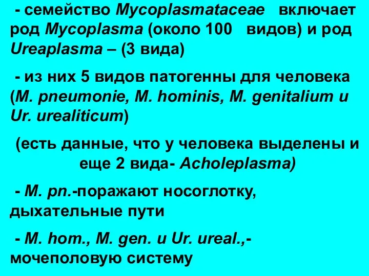 - семейство Mycoplasmataceae включает род Mycoplasma (около 100 видов) и род