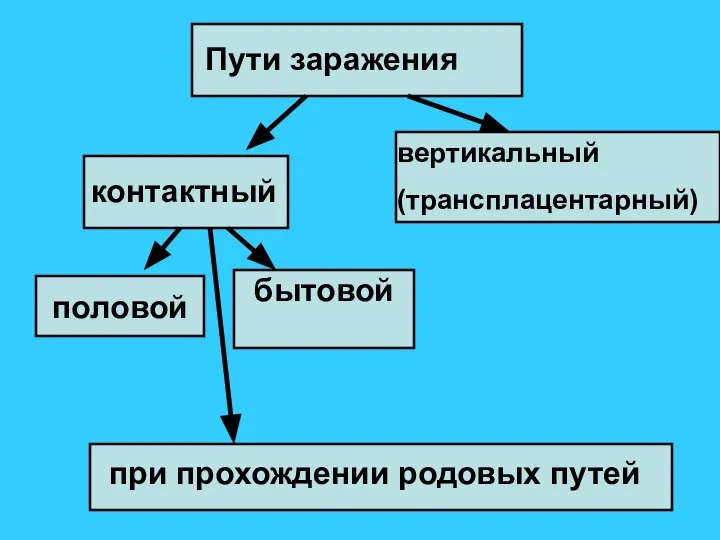 Пути заражения вертикальный (трансплацентарный) контактный половой бытовой при прохождении родовых путей