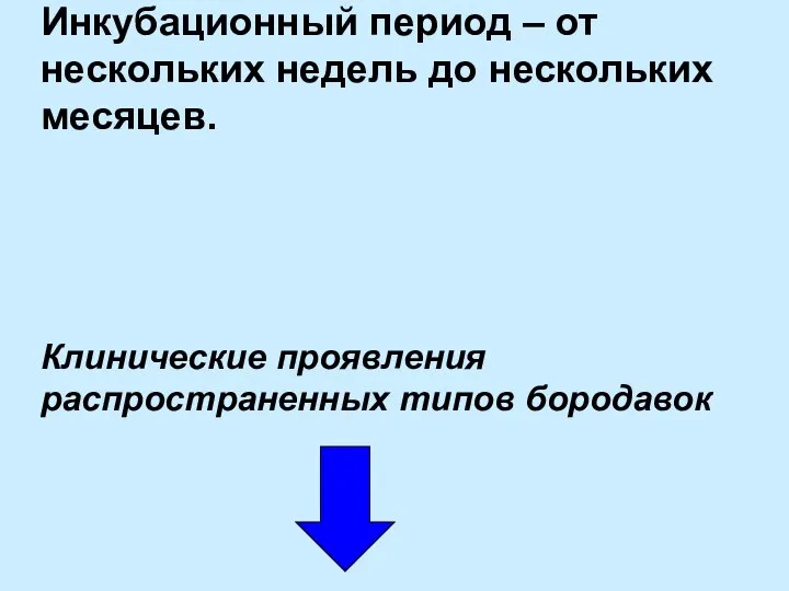 Инкубационный период – от нескольких недель до нескольких месяцев. Клинические проявления распространенных типов бородавок