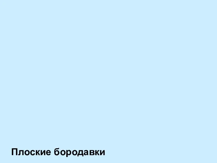 Плоские бородавки