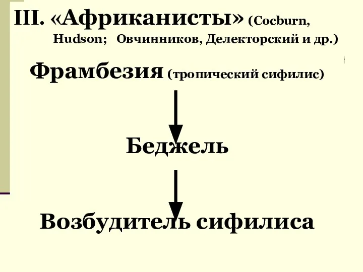 III. «Африканисты» (Cocburn, Hudson; Овчинников, Делекторский и др.) Фрамбезия (тропический сифилис) Беджель Возбудитель сифилиса