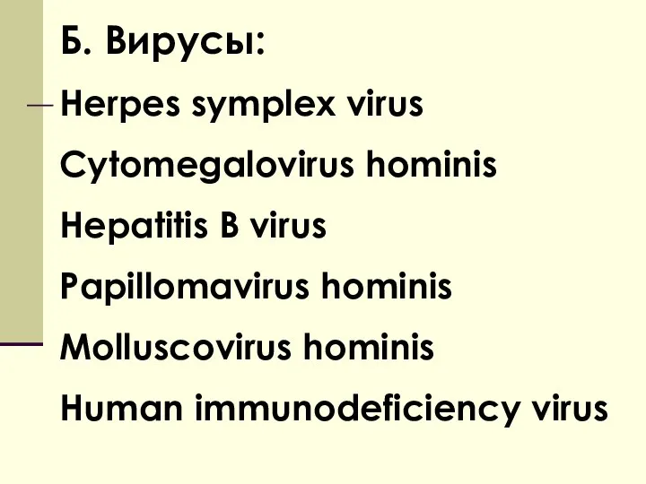 Б. Вирусы: Herpes symplex virus Cytomegalovirus hominis Hepatitis B virus Papillomavirus