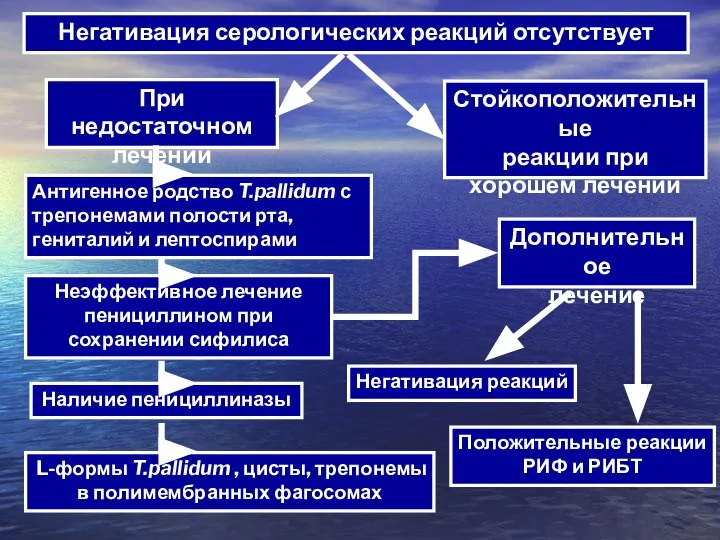 Негативация серологических реакций отсутствует При недостаточном лечении Стойкоположительные реакции при хорошем