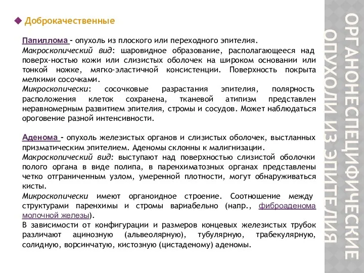 ОРГАНОНЕСПЕЦИФИЧЕСКИЕ ОПУХОЛИ ИЗ ЭПИТЕЛИЯ Доброкачественные Папиллома - опухоль из плоского или