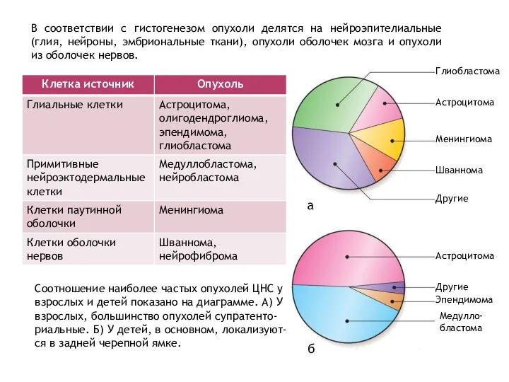 В соответствии с гистогенезом опухоли делятся на нейроэпителиальные (глия, нейроны, эмбриональные