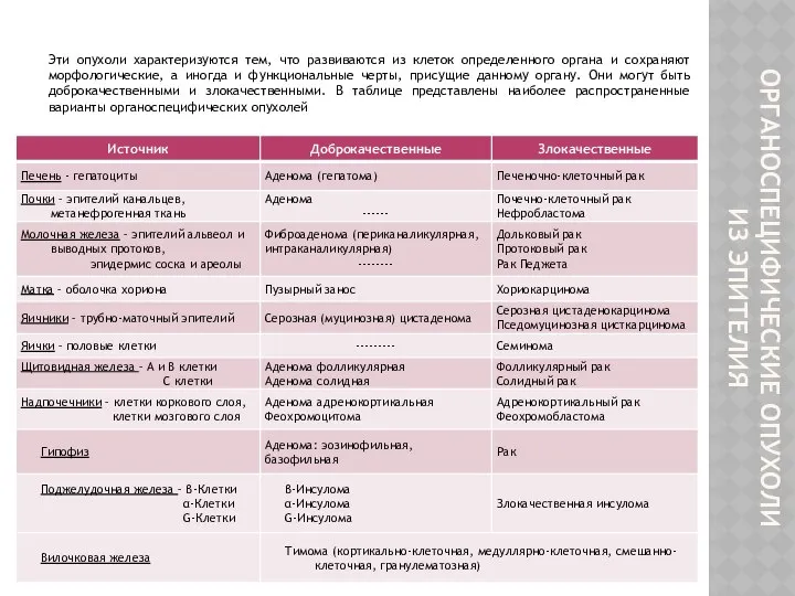 ОРГАНОСПЕЦИФИЧЕСКИЕ ОПУХОЛИ ИЗ ЭПИТЕЛИЯ Эти опухоли характеризуются тем, что развиваются из