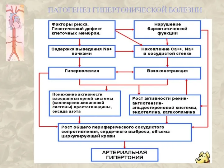 ПАТОГЕНЕЗ ГИПЕРТОНИЧЕСКОЙ БОЛЕЗНИ