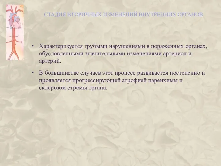 СТАДИЯ ВТОРИЧНЫХ ИЗМЕНЕНИЙ ВНУТРЕННИХ ОРГАНОВ Характеризуется грубыми нарушениями в пораженных органах,