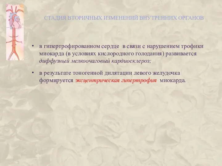 СТАДИЯ ВТОРИЧНЫХ ИЗМЕНЕНИЙ ВНУТРЕННИХ ОРГАНОВ в гипертрофированном сердце в связи с