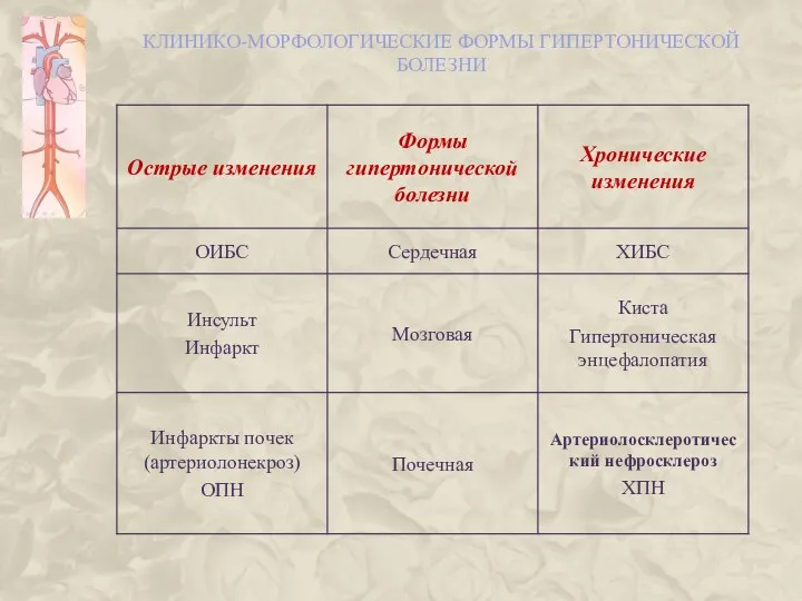 КЛИНИКО-МОРФОЛОГИЧЕСКИЕ ФОРМЫ ГИПЕРТОНИЧЕСКОЙ БОЛЕЗНИ