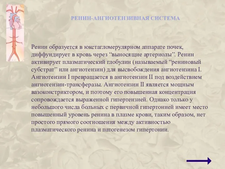 РЕНИН-АНГИОТЕНЗИВНАЯ СИСТЕМА Ренин образуется в юкстагломерулярном аппарате почек, диффундирует в кровь