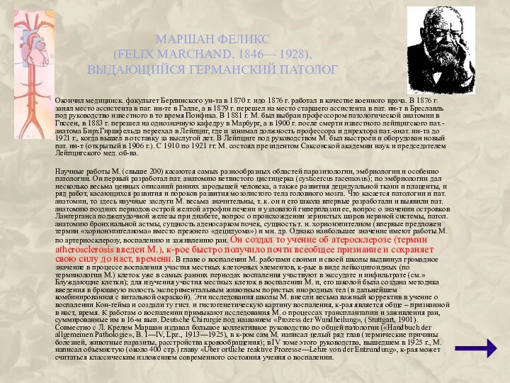 МАРШАН ФЕЛИКС (FELIX MARCHAND, 1846— 1928), ВЫДАЮЩИЙСЯ ГЕРМАНСКИЙ ПАТОЛОГ Окончил медицинск.