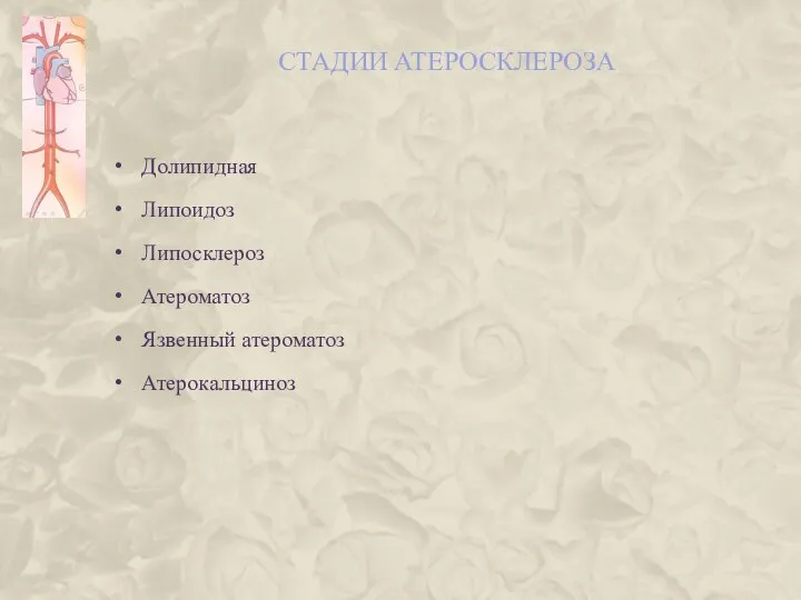 СТАДИИ АТЕРОСКЛЕРОЗА Долипидная Липоидоз Липосклероз Атероматоз Язвенный атероматоз Атерокальциноз