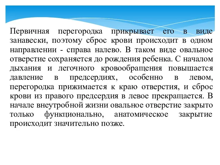 Первичная перегородка прикрывает его в виде занавески, поэтому сброс крови происходит