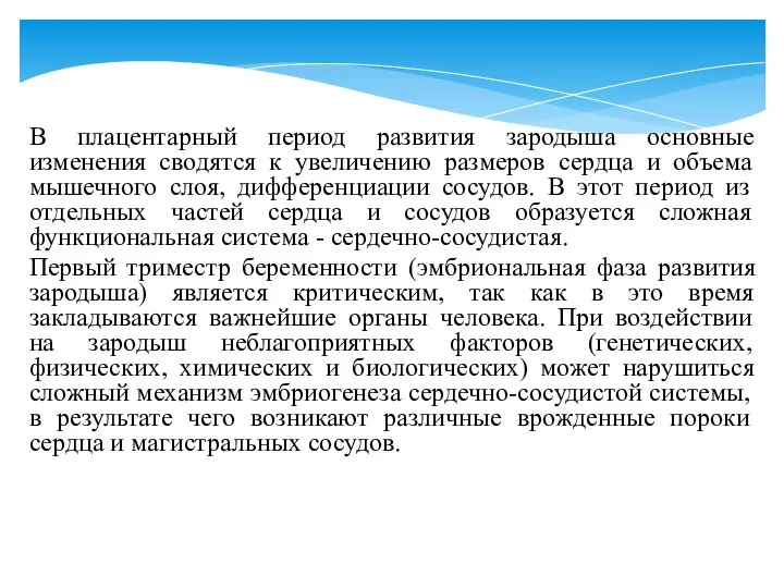 В плацентарный период развития зародыша основные изменения сводятся к увеличению размеров