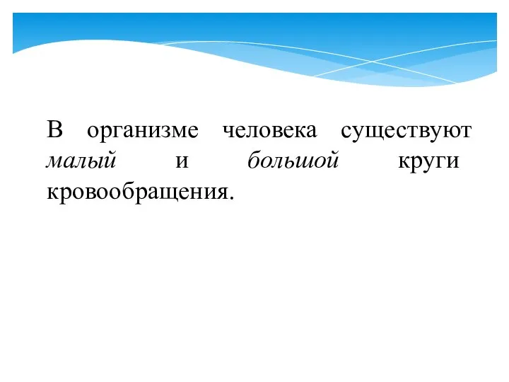 В организме человека существуют малый и большой круги кровообращения.