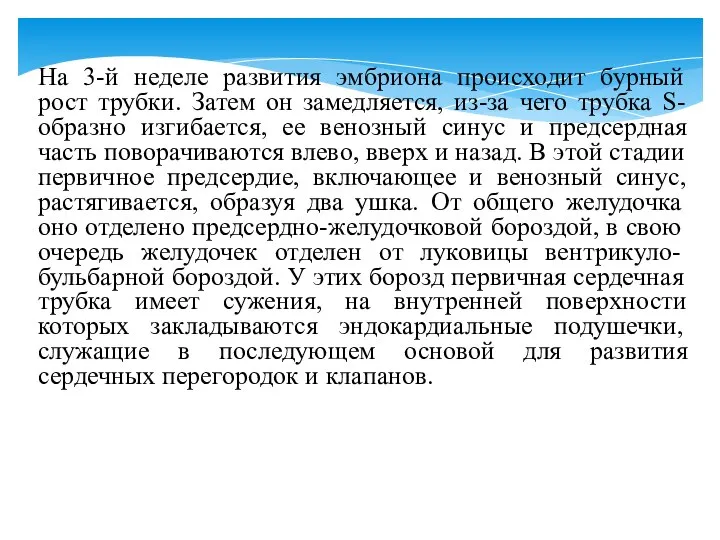 На 3-й неделе развития эмбриона происходит бурный рост трубки. Затем он