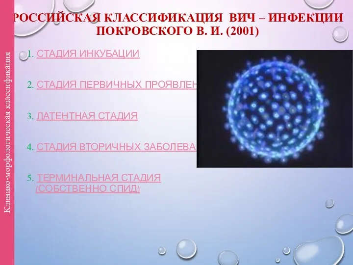 РОССИЙСКАЯ КЛАССИФИКАЦИЯ ВИЧ – ИНФЕКЦИИ ПОКРОВСКОГО В. И. (2001) 1. СТАДИЯ