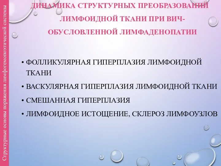 ДИНАМИКА СТРУКТУРНЫХ ПРЕОБРАЗОВАНИЙ ЛИМФОИДНОЙ ТКАНИ ПРИ ВИЧ-ОБУСЛОВЛЕННОЙ ЛИМФАДЕНОПАТИИ ФОЛЛИКУЛЯРНАЯ ГИПЕРПЛАЗИЯ ЛИМФОИДНОЙ