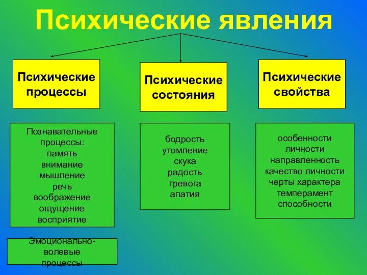 Психические явления Психические процессы Психические состояния Психические свойства Познавательные процессы: память