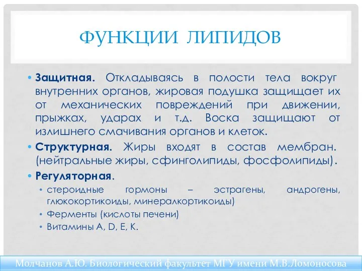 ФУНКЦИИ ЛИПИДОВ Защитная. Откладываясь в полости тела вокруг внутренних органов, жировая