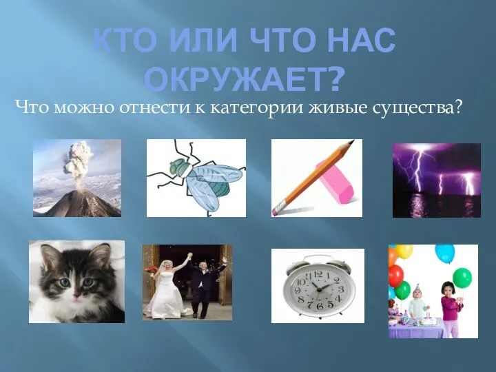 КТО ИЛИ ЧТО НАС ОКРУЖАЕТ? Что можно отнести к категории живые существа?