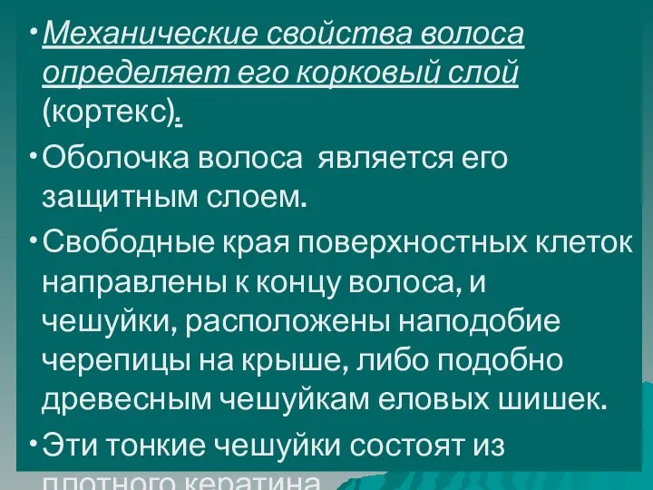 Механические свойства волоса определяет его корковый слой (кортекс). Оболочка волоса является