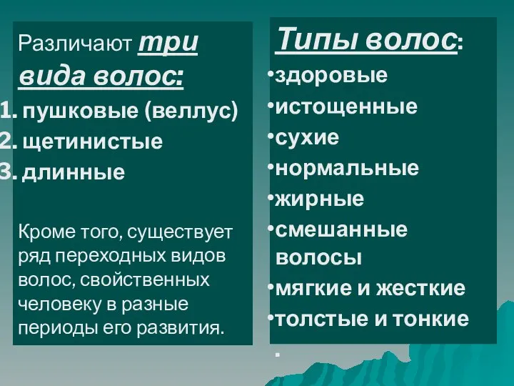 Типы волос: здоровые истощенные сухие нормальные жирные смешанные волосы мягкие и