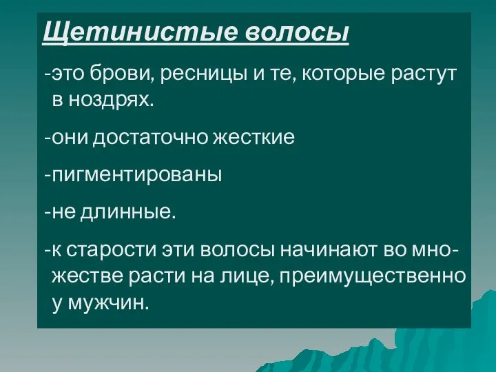 Щетинистые волосы это брови, ресницы и те, которые растут в ноздрях.