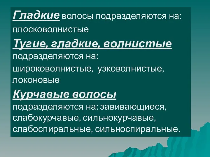 Гладкие волосы подразделяются на: плосковолнистые Тугие, гладкие, волнистые подразделяются на: широковолнистые,