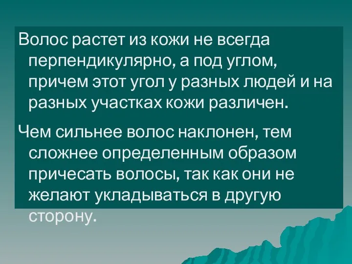 Волос растет из кожи не всегда перпендикулярно, а под углом, причем