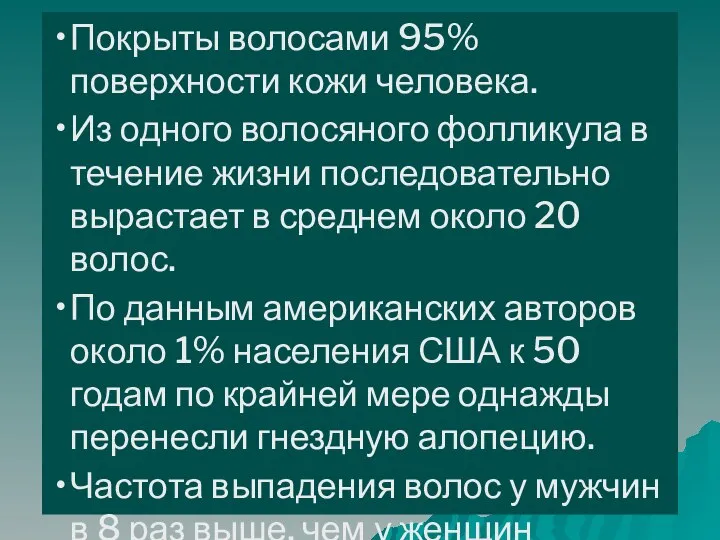 Покрыты волосами 95% поверхности кожи человека. Из одного волосяного фолликула в